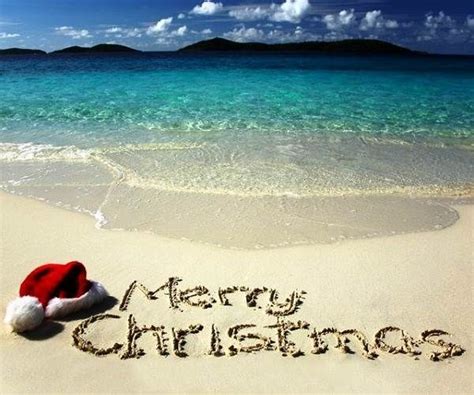 beach christmas gif